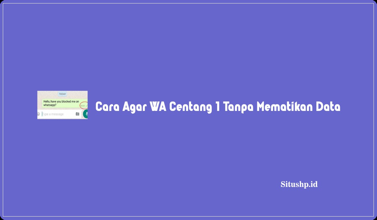 Cara Agar WA Centang 1 Tanpa Mematikan Data